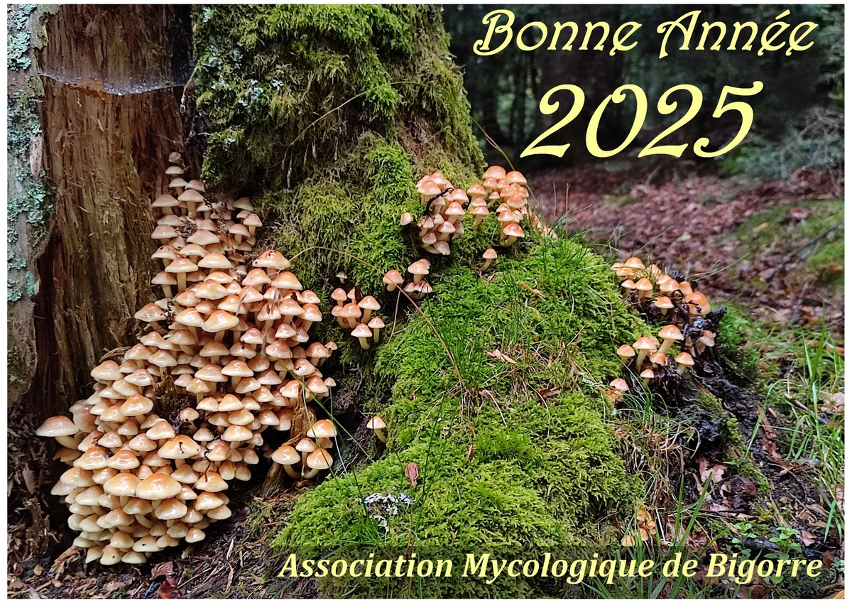 Voeux 2025 3 pf