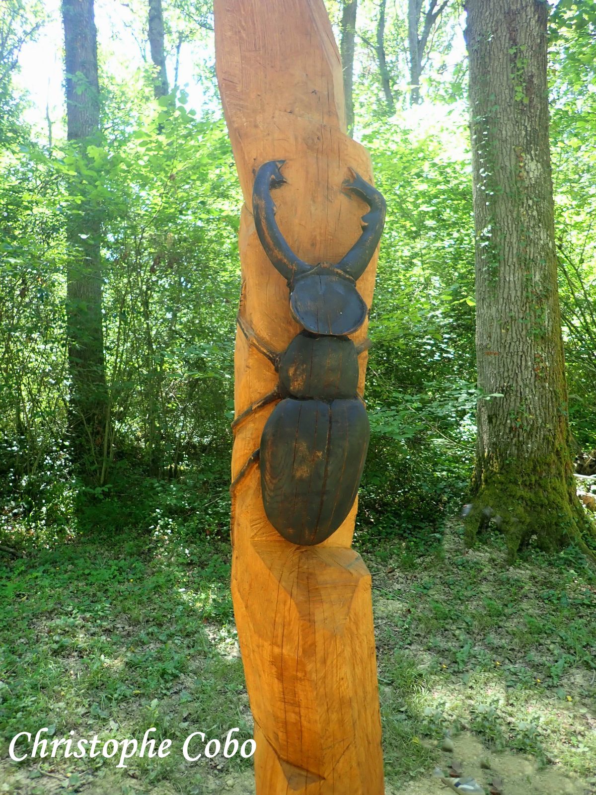 11 Fête de l Arbre 20260614 SEMEAC