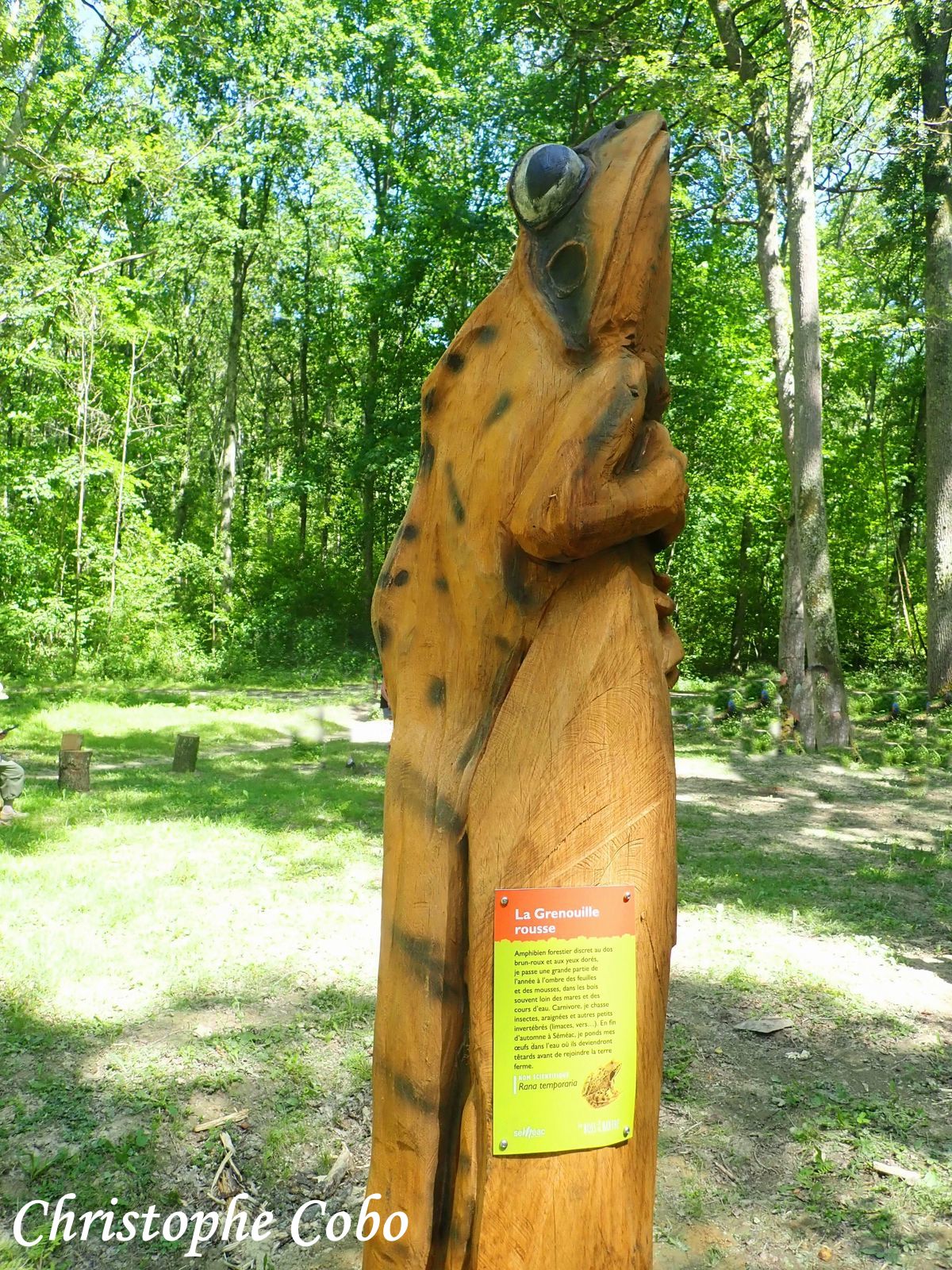 12 Fête de l Arbre 20260614 SEMEAC